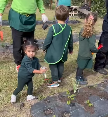 Los niños plantadores continúan el rito de plantar del hombre primitivo.
